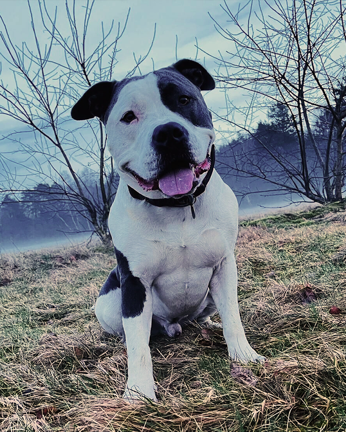 Streetwear Brand JAWX – Detailansicht Stoffdichte Hutsch